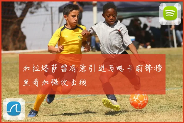 加拉塔萨雷有意引进马略卡前锋穆里奇加强攻击线