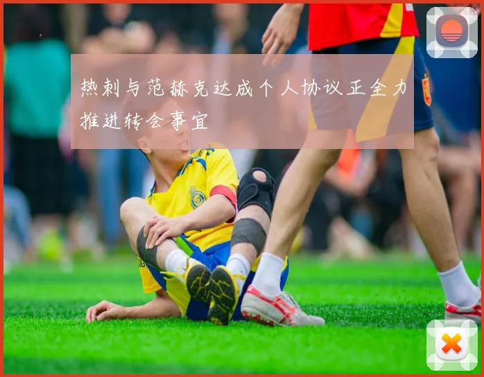 热刺与范赫克达成个人协议正全力推进转会事宜