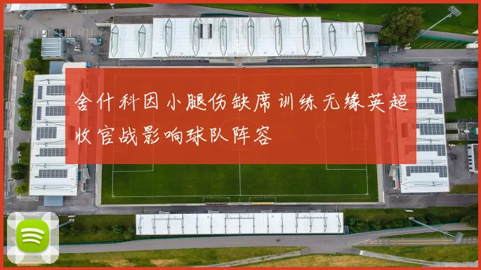 舍什科因小腿伤缺席训练无缘英超收官战影响球队阵容